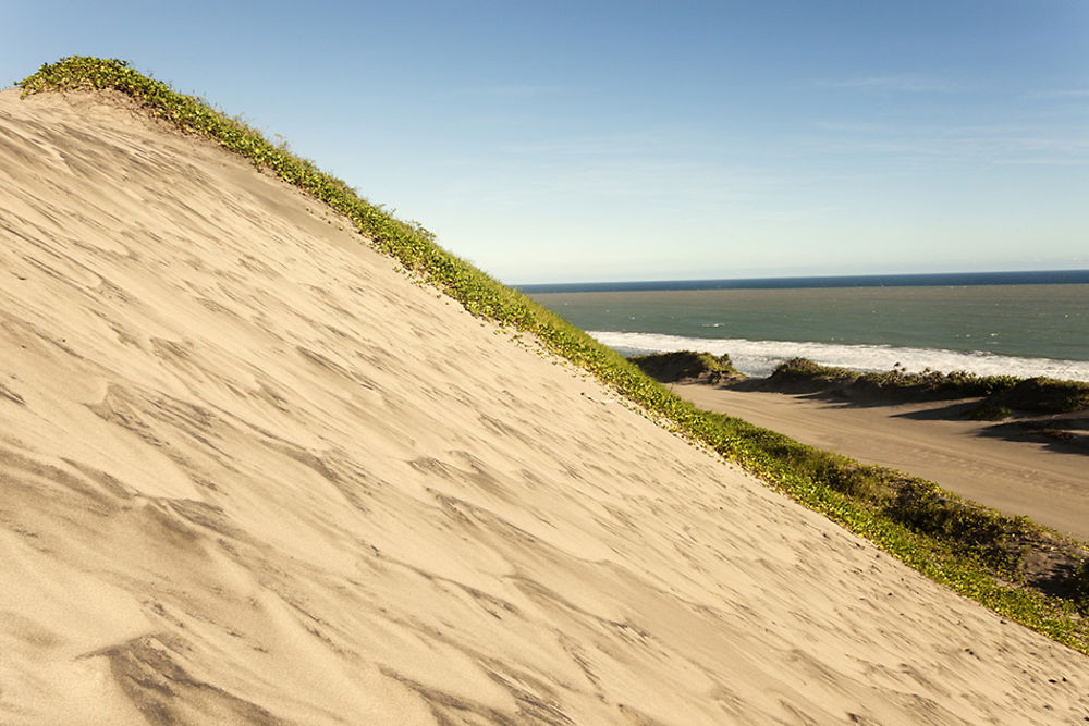 Dunes de Sigatoka