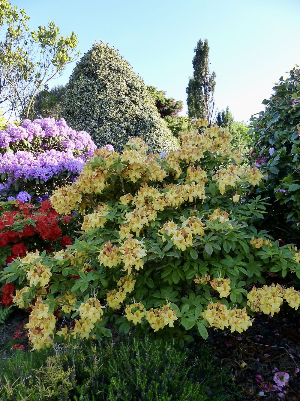 Les jardins confidentiels 