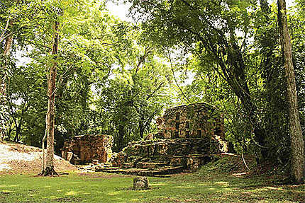 Site de Yaxchilan