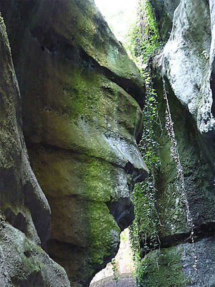 Visage de femme dans la roche - Gorges du Fier