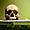 Crâne au musée de Suva