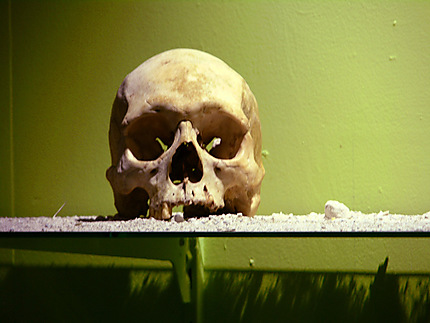 Crâne au musée de Suva