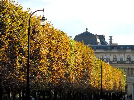 L'automne arrive à Paris 