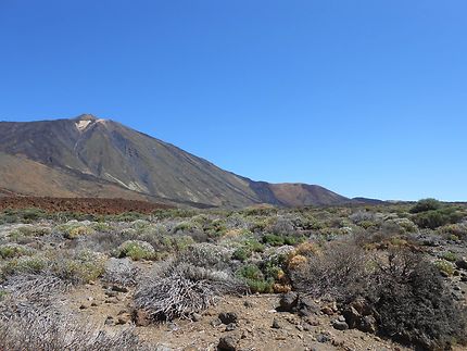 Volcan du Teide, Tenerife