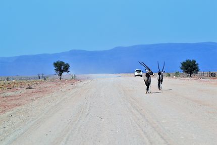 Sur les pistes de Namibie, à Swakopmund