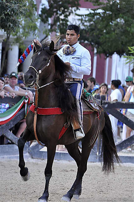 Cavalier Mexicain