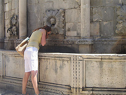 Dubrovnik - La fontaine d'Onofrio