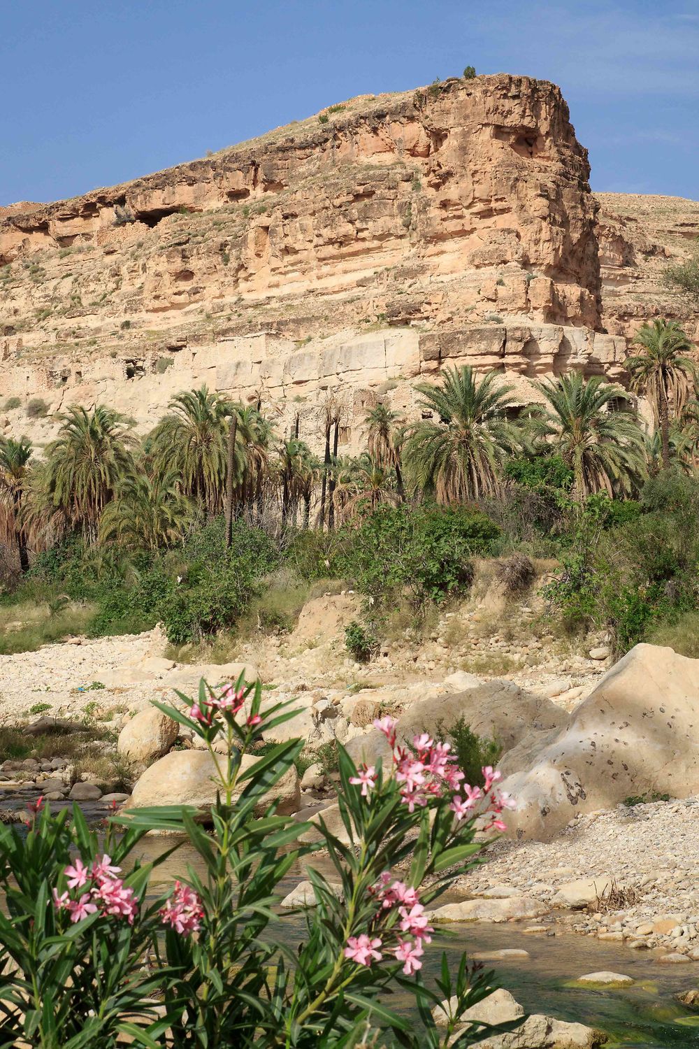 Aurès - Rhoufi - Au fond du canyon