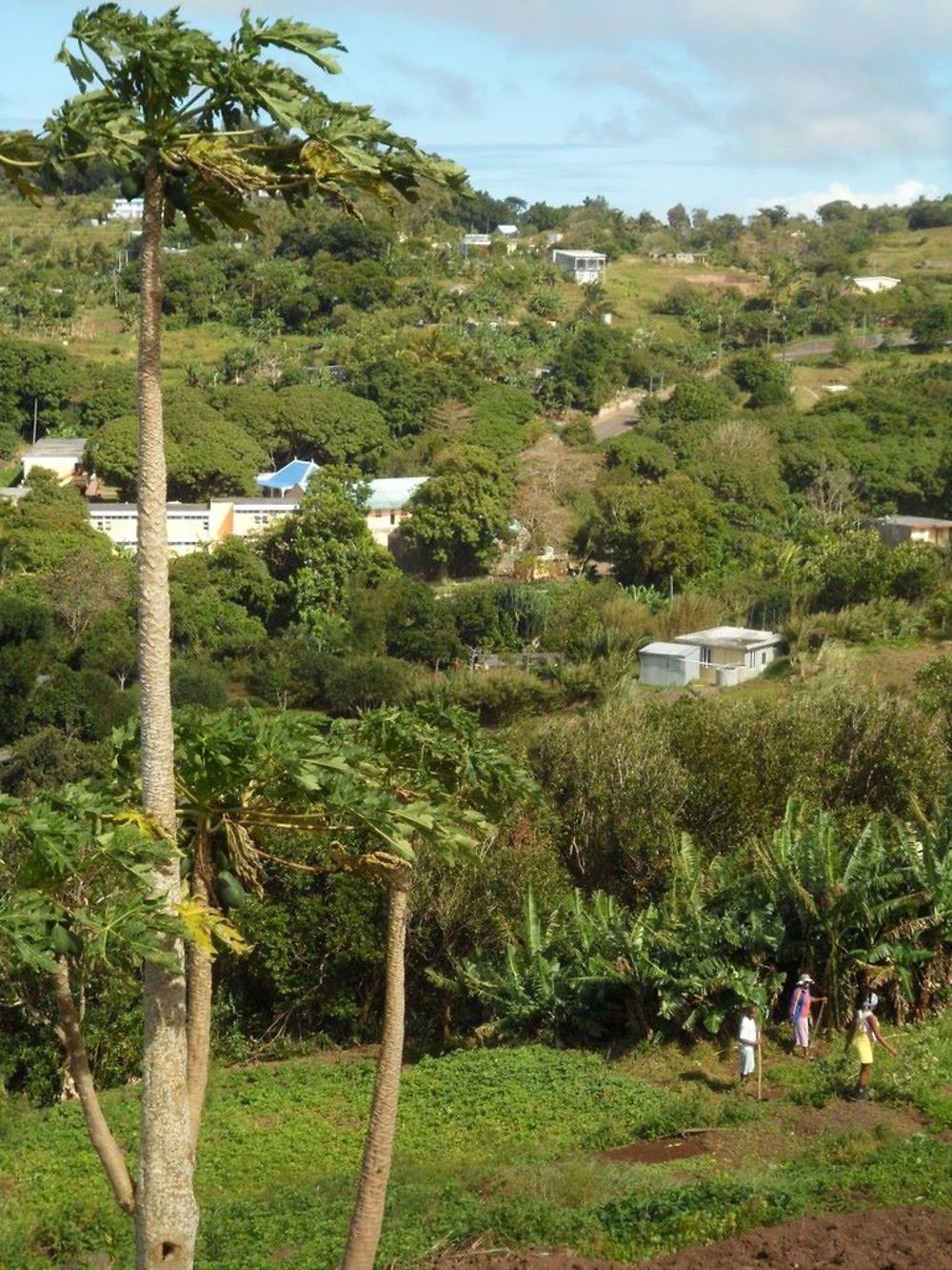 Paysage Rodriguais