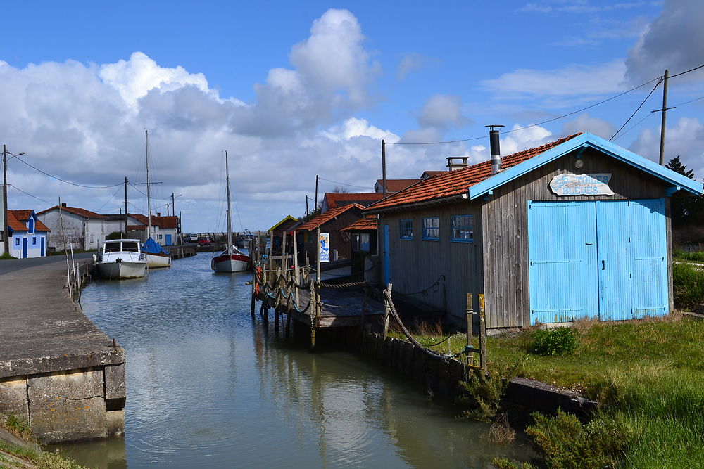 Port ostréicole 