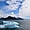 Iceberg dans la baie de Prince William Sound