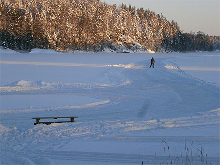 Linnansaari Linnansaari