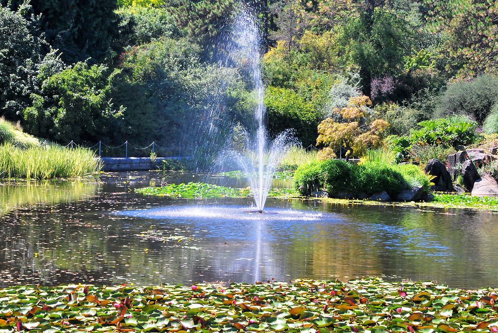 VanDusen Botanical Garden