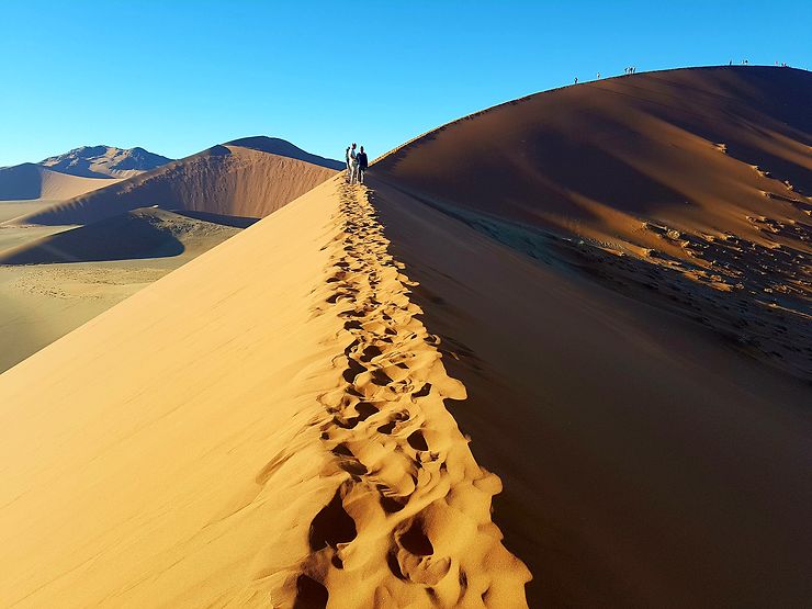 Dune 45, désert du Namib, Namibie