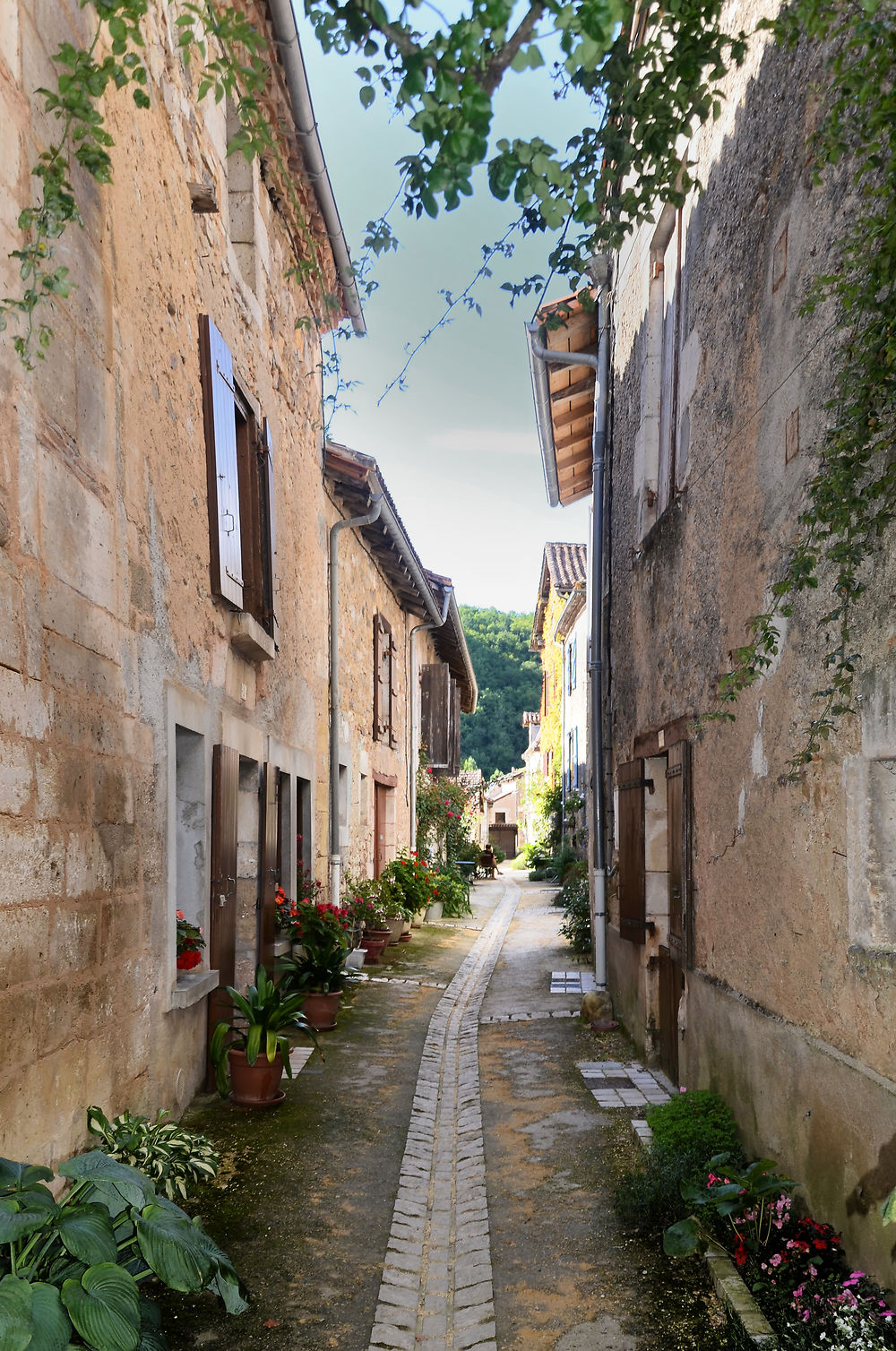 Carte Postale de Brantôme