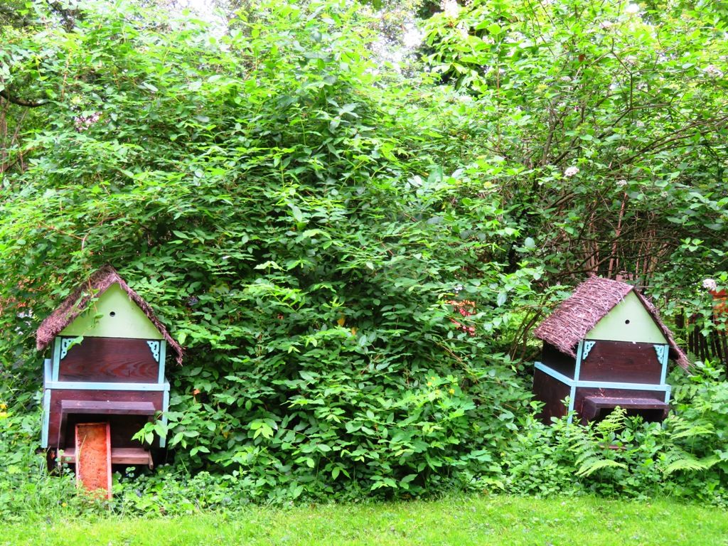 Les ruches du parc Dupeyroux