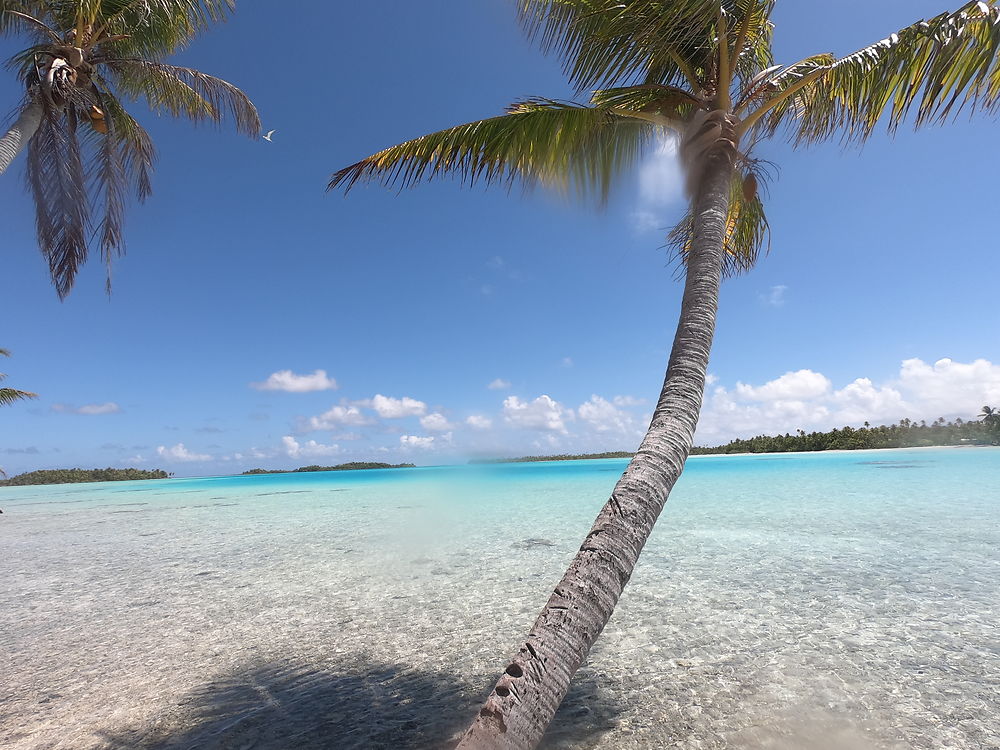 Lagon bleu Rangiroa