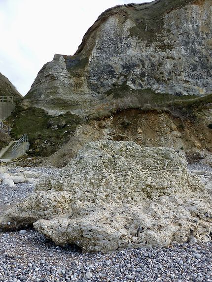 Des inclusions nombreuses dans les roches