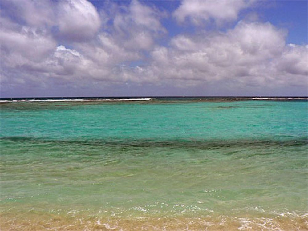 Cayo (Chichiriviche)