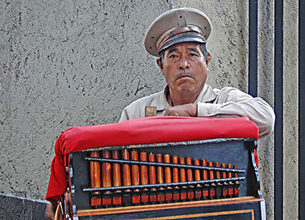 Joueur d'orgue aux environs du Zocalo
