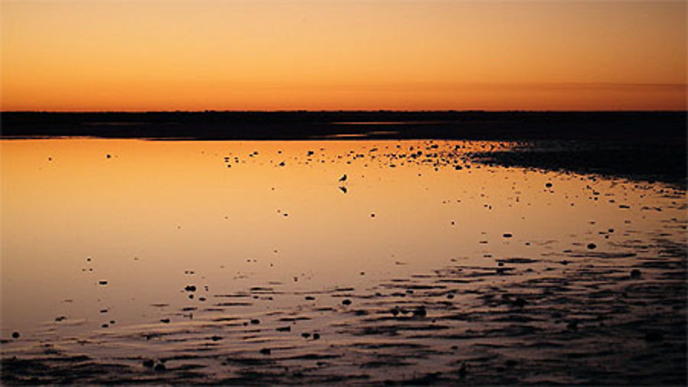 Sunset à Nata Bird Sanctuary