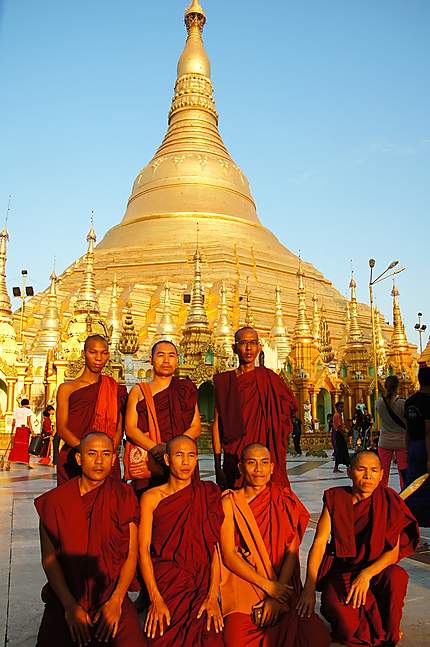Pause devant Shwedagon