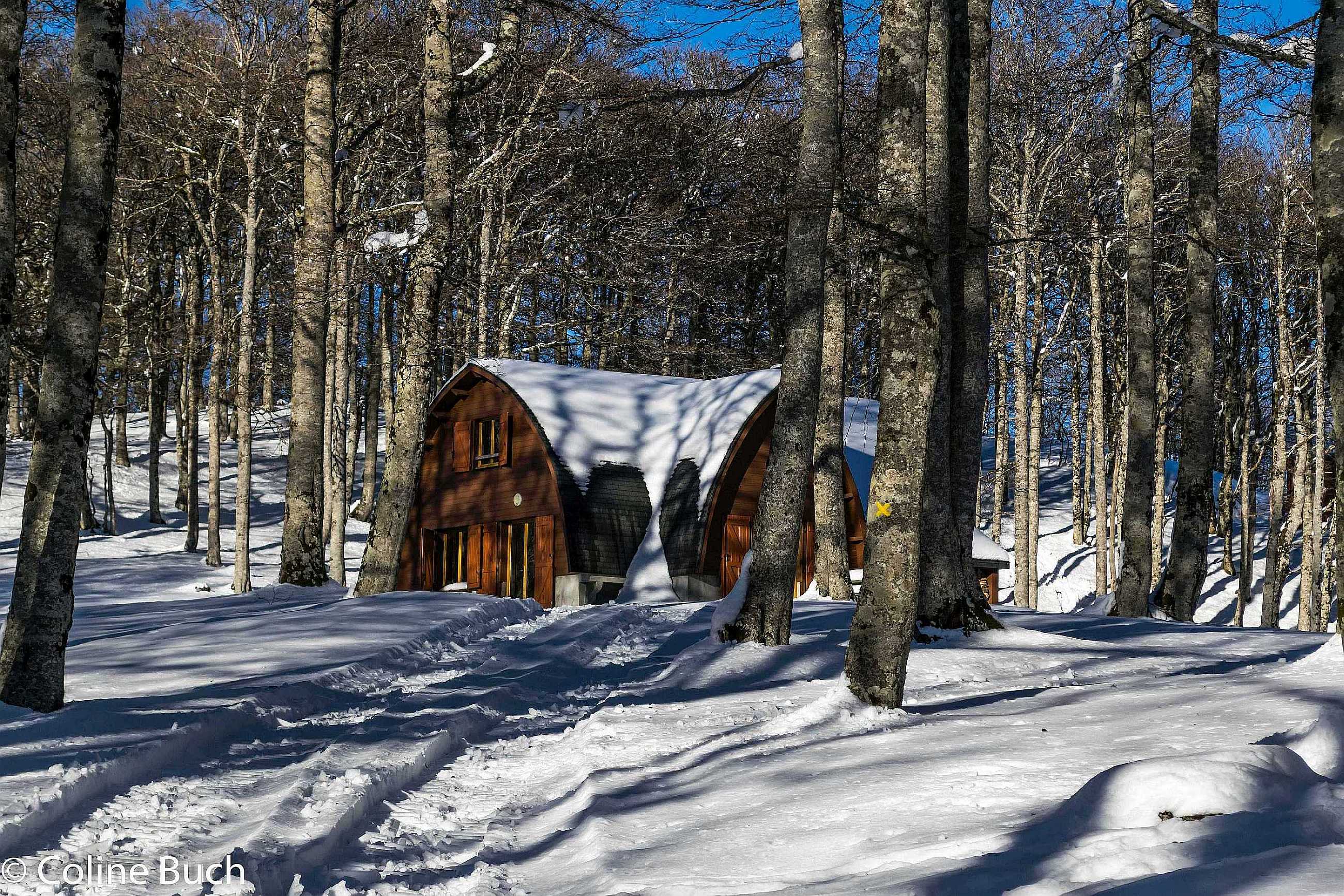 Les chalets de la forêt d'Iraty Les chalets de la forêt d'Iraty