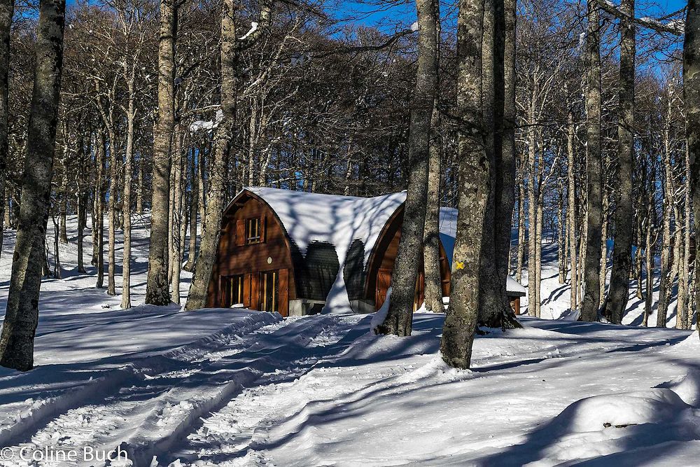 Les chalets de la forêt d'Iraty