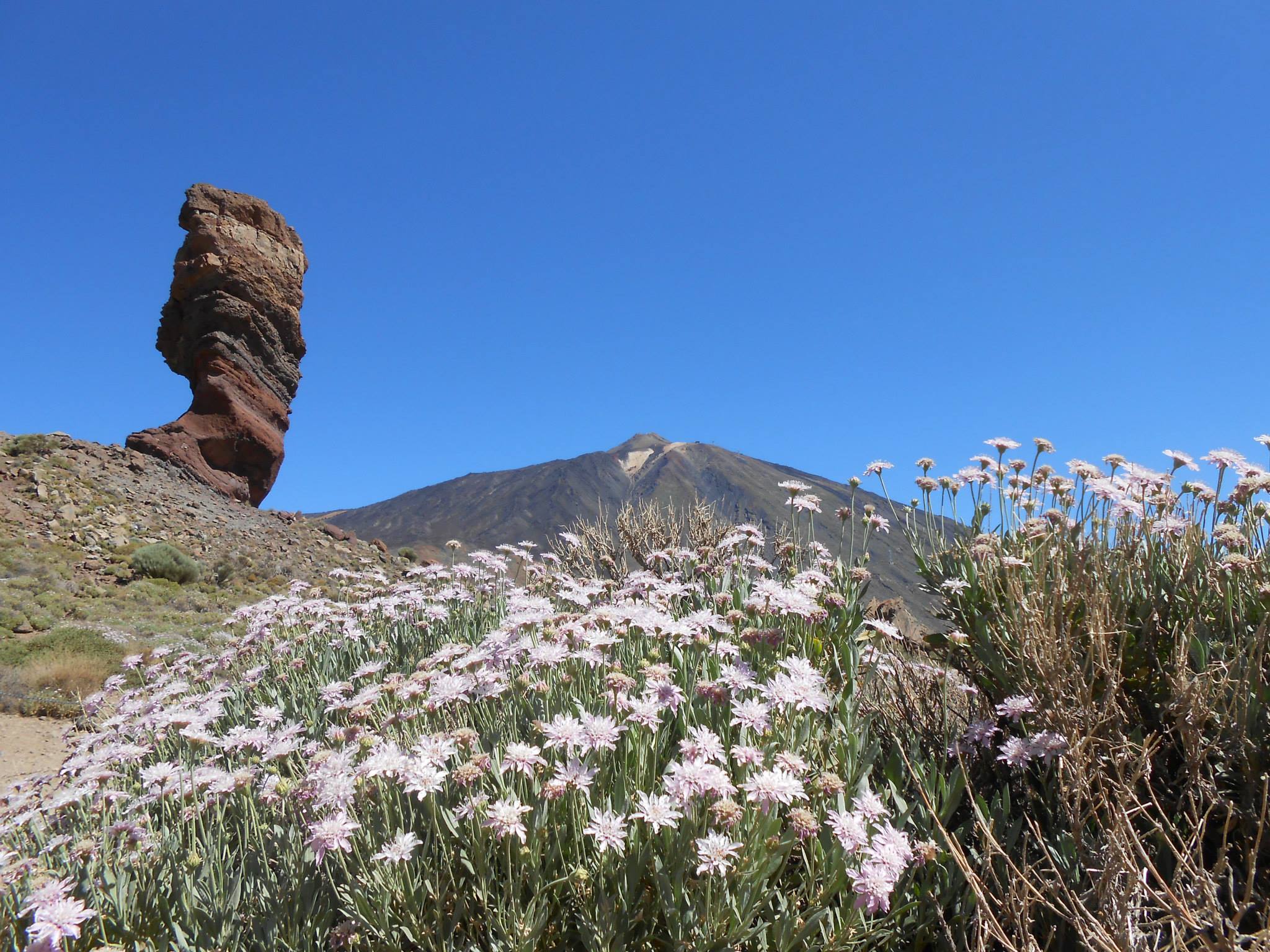 Volcan du Teide, Tenerife Volcan du Teide, Tenerife