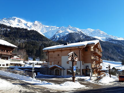 Beau bois aux Comtamines-Montjoie