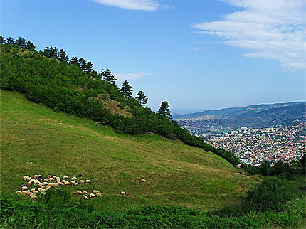 Mont Trebevic : vue sur Sarajevo