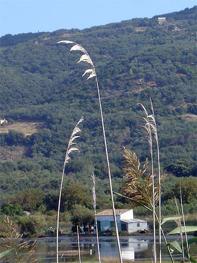 Lac Korission Lac Korission