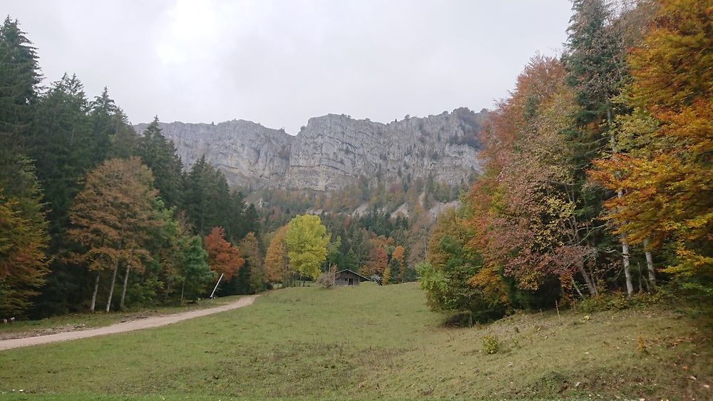 Vue sur le Mont d'or impressionnant 