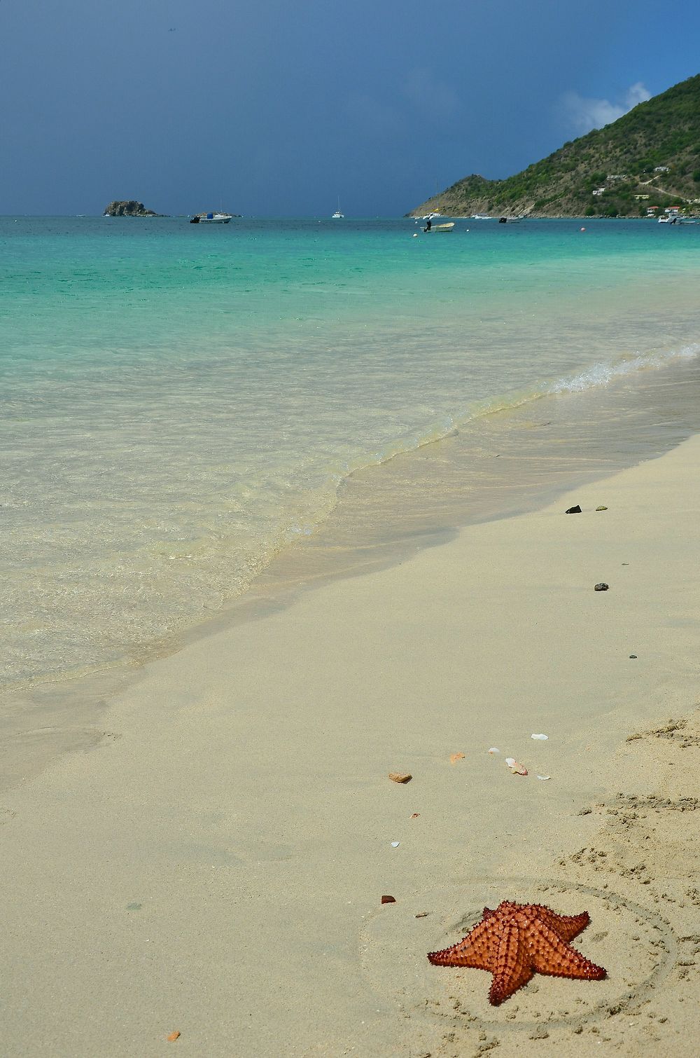 Plage de Grand Case