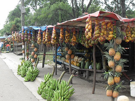 Vendeur de fruits au bord de la route