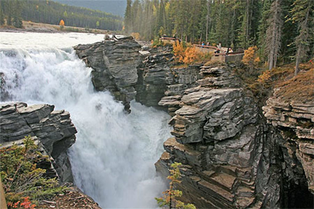 Chute Athabasca