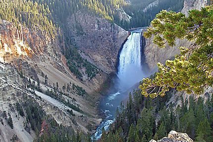 Le grand canyon du Yellowstone