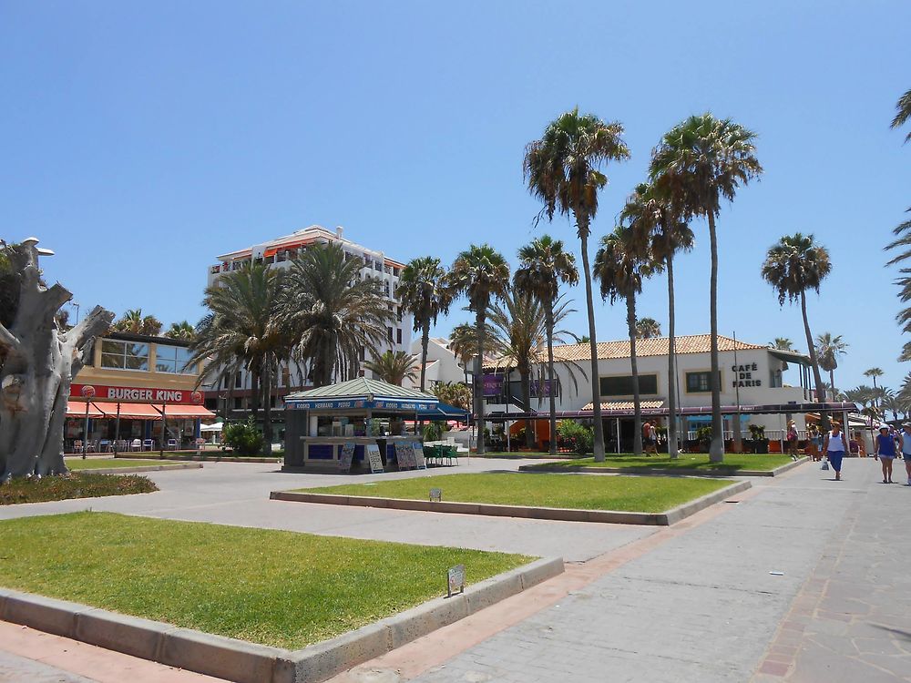 Los Cristianos, Tenerife