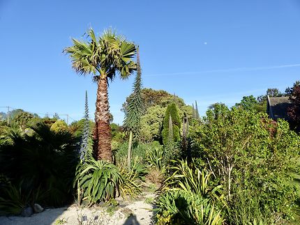 Un jardin exotique 