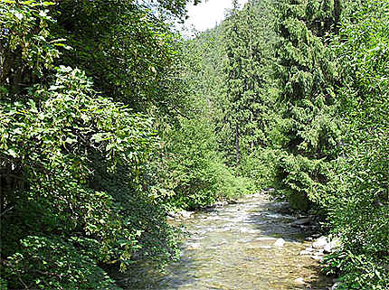 Ruisseau des Basses-Tatras