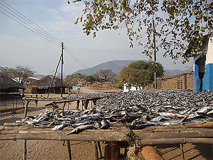 Séchage de poissons dans le village de Chembe