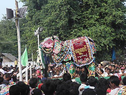 Fête danse des éléphants