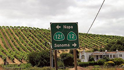 Napa Sonoma