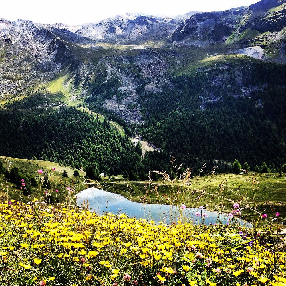 Lac de Sunnegga