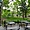 Greenwich Village - Washington Park