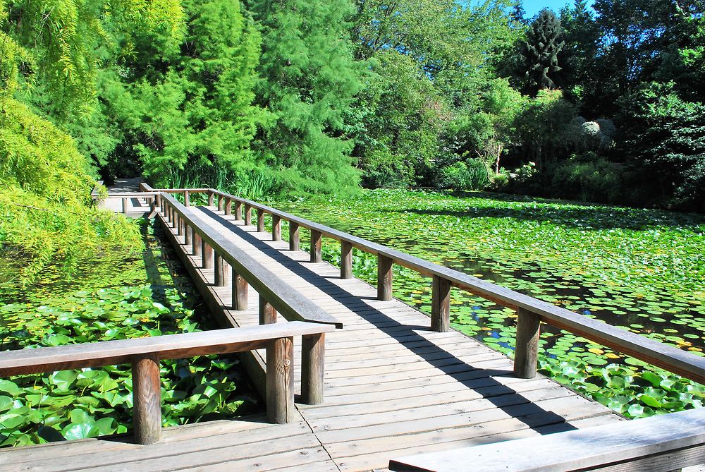 Promenade sur les eaux