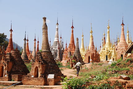 Forêt de stupas