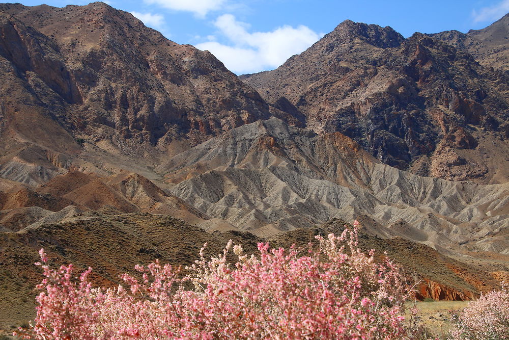 Douceur d'automne au Nord de l'Iran