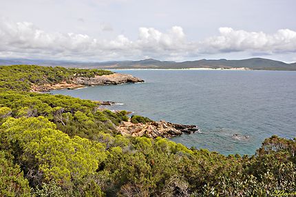 Porto Pino