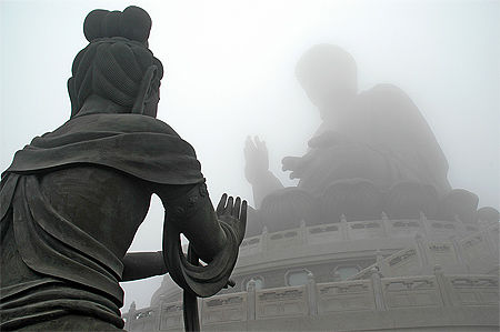 Bouddha dans la brume